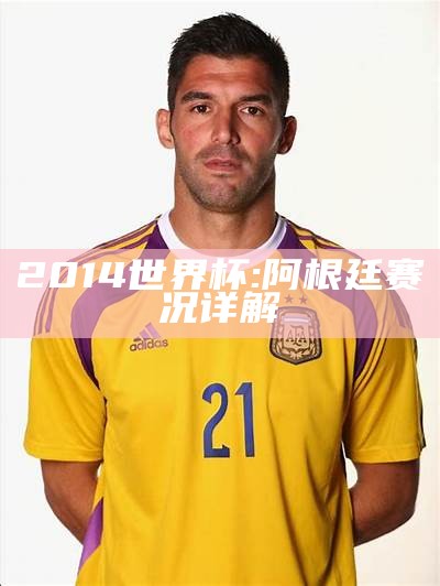 2014世界杯: 阿根廷赛况详解