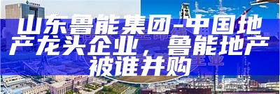 山东鲁能集团-中国地产龙头企业，鲁能地产被谁并购